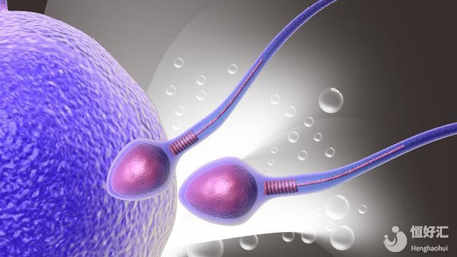 備孕多年沒動靜？馬來西亞試管嬰兒技術讓無數家庭迎來轉機